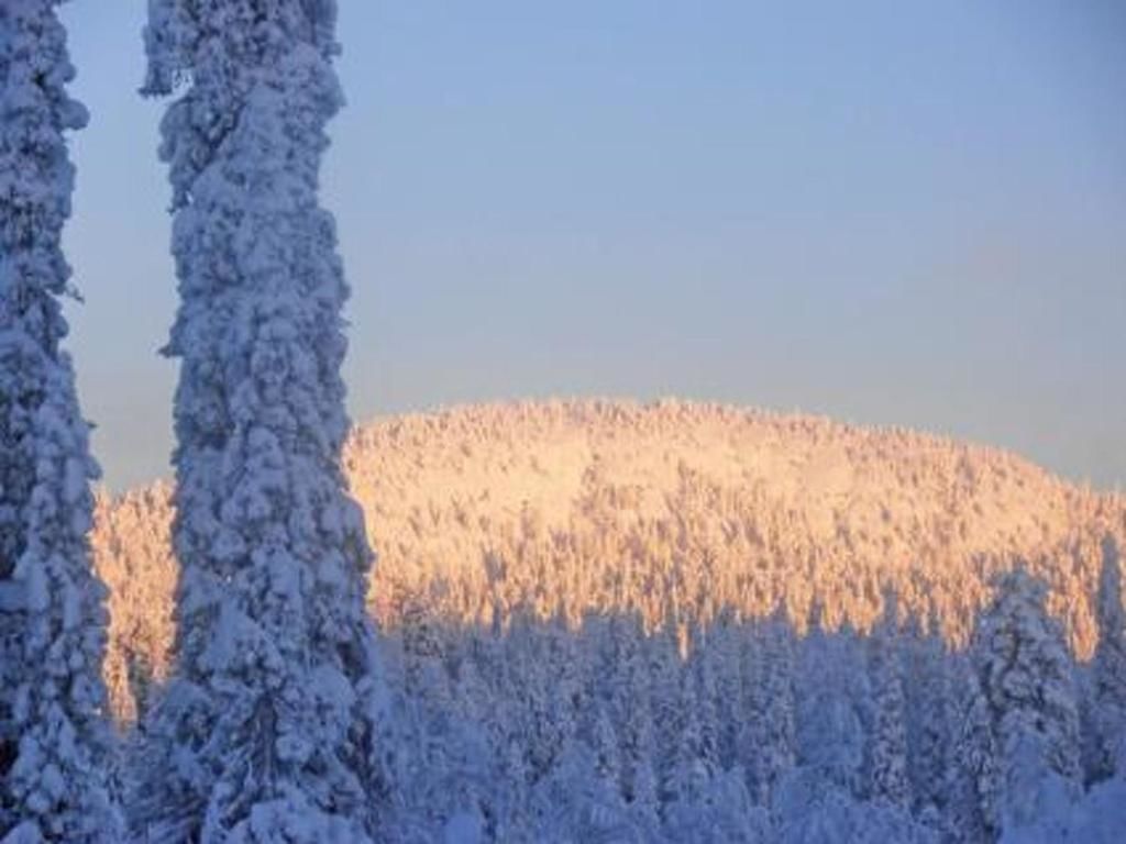 Дома для отпуска Holiday Home Hallan kelo Рука